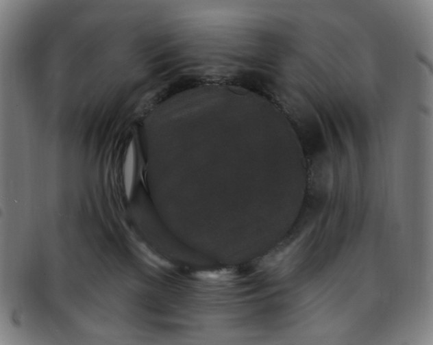 X0000097510137200803071833