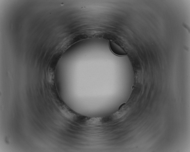 X0000097510138200803071833