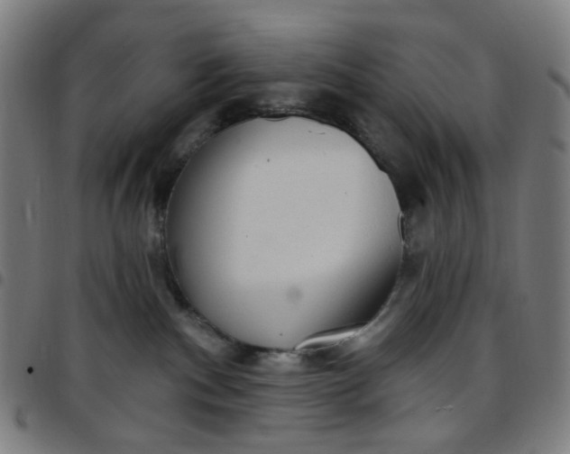 X0000097510140200803071833