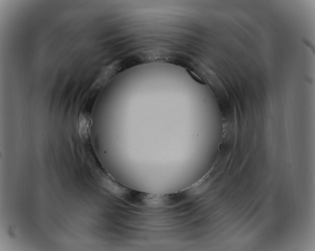 X0000097510142200803071833