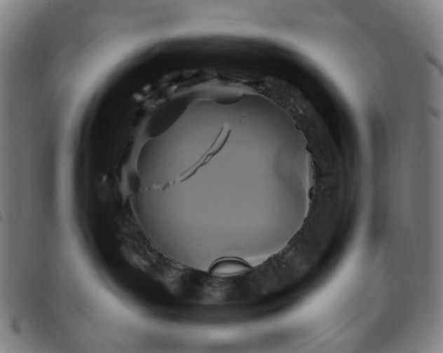 X0000097510143200803071833