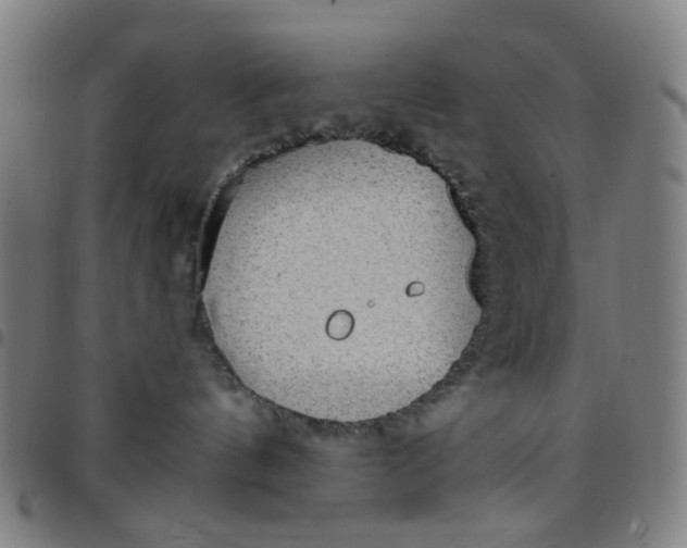 X0000097510144200803071833