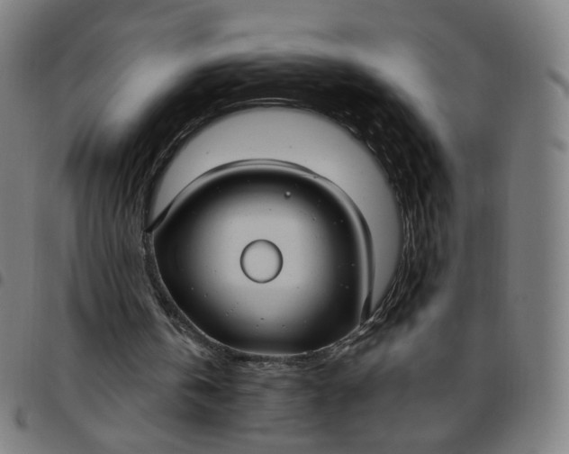 X0000097510146200803071832