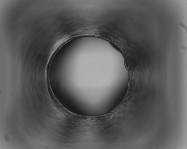 X0000097510148200803071832