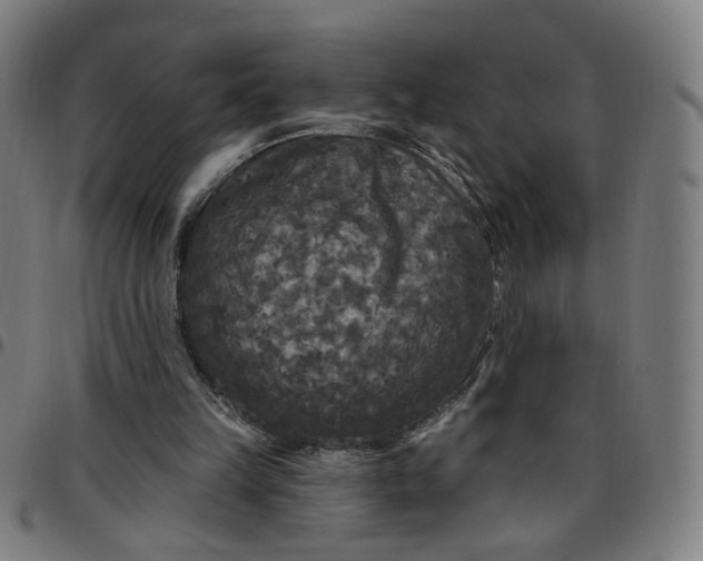 X0000097510149200803071832