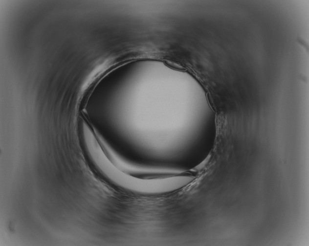 X0000097510150200803071832