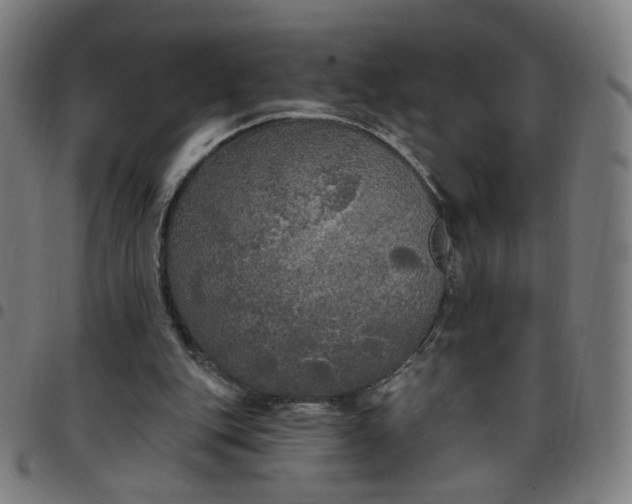 X0000097510151200803071832