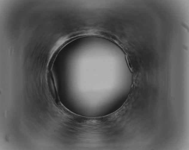 X0000097510152200803071832