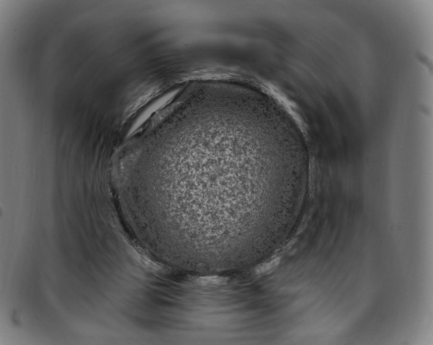 X0000097510153200803071832