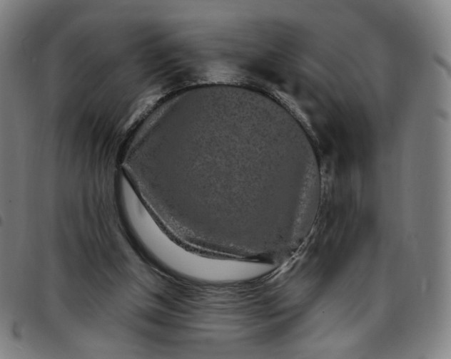 X0000097510154200803071832