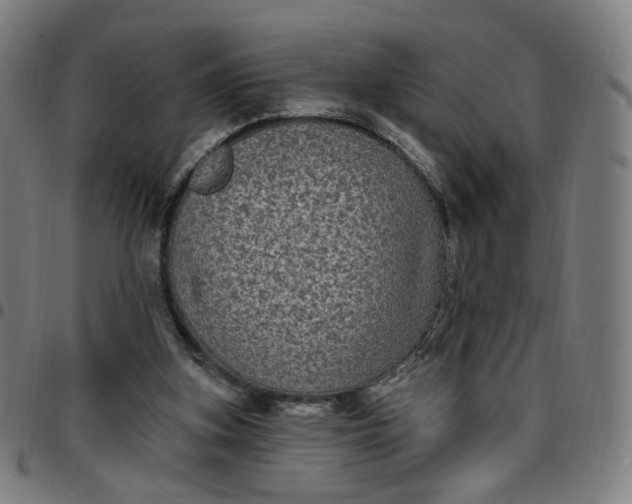 X0000097510155200803071832