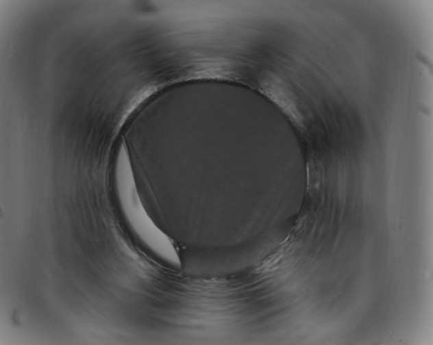 X0000097510156200803071832