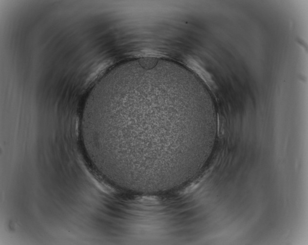 X0000097510157200803071832