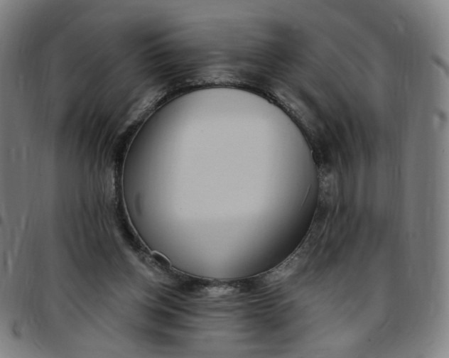 X0000097510158200803071832