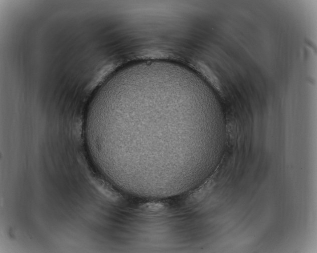 X0000097510159200803071832