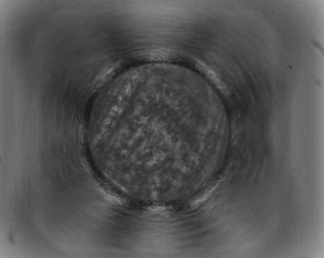 X0000097510161200803071832