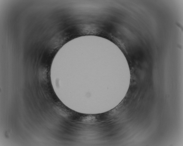 X0000097510162200803071832