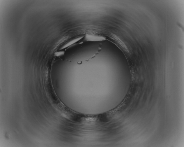 X0000097510163200803071832