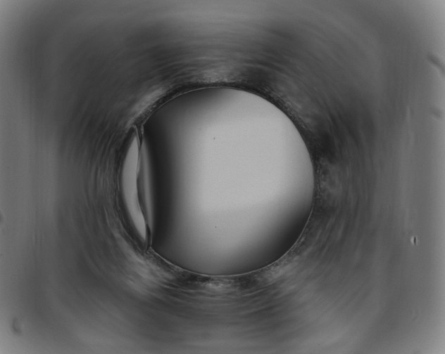 X0000097510164200803071832