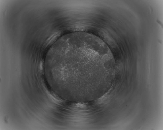 X0000097510166200803071833