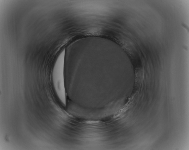 X0000097510168200803071833