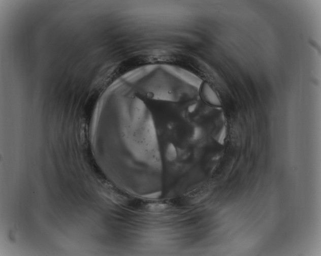 X0000097510169200803071833