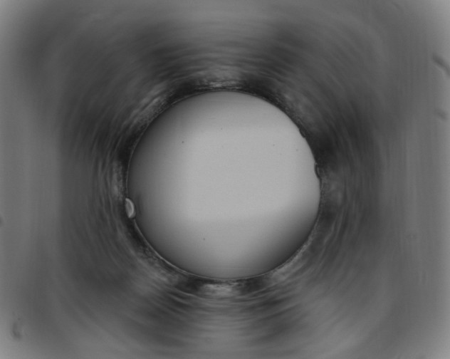 X0000097510170200803071833