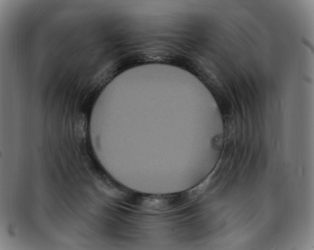 X0000097510174200803071833