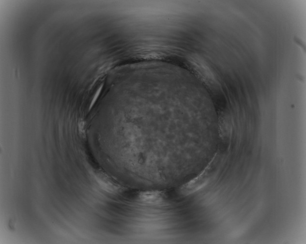 X0000097510175200803071833