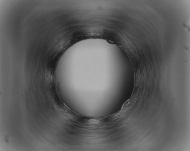 X0000097510176200803071833