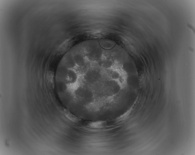 X0000097510178200803071833