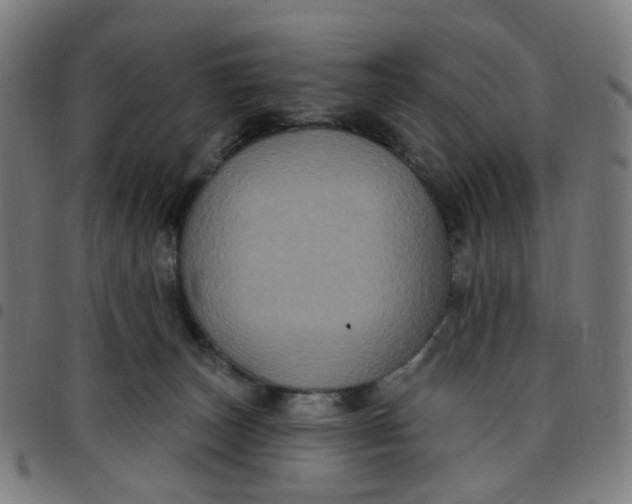 X0000097510179200803071833