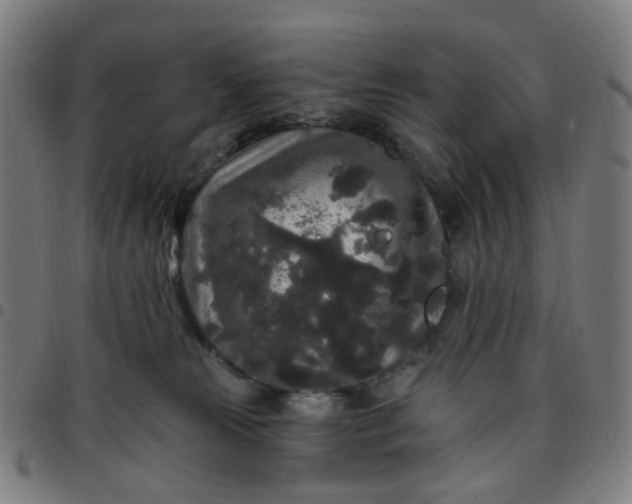 X0000097510181200803071833