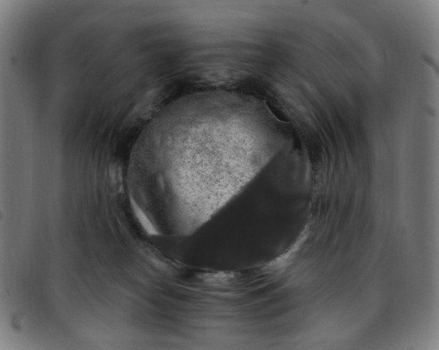 X0000097510182200803071833