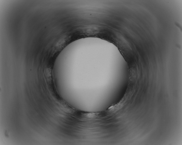 X0000097510184200803071833