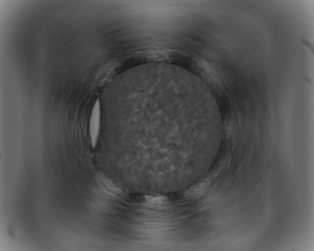 X0000097510185200803071833