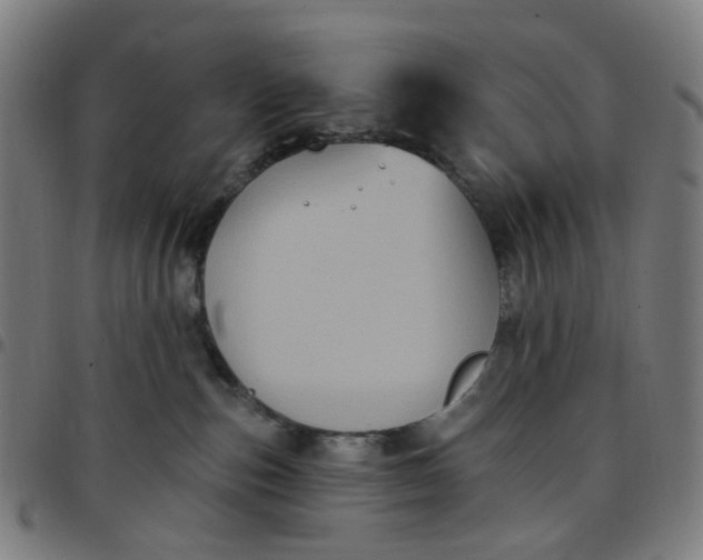 X0000097510187200803071833