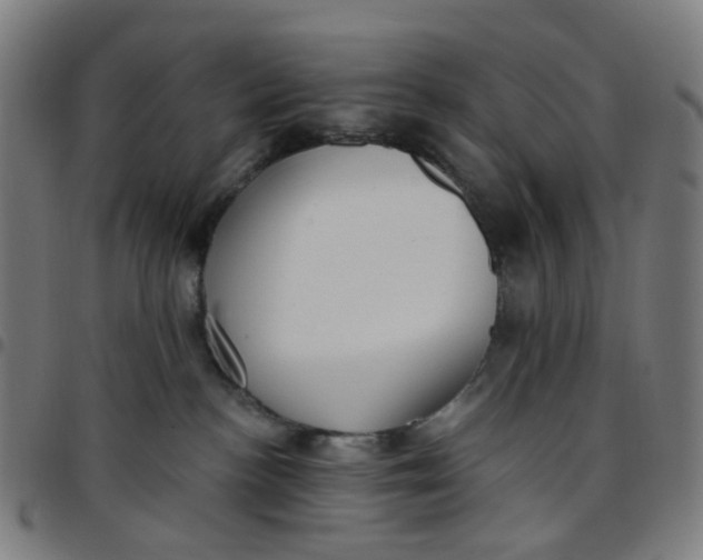 X0000097510188200803071833