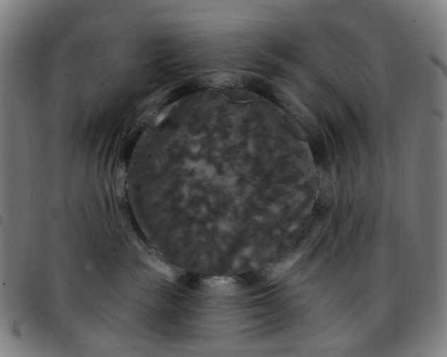 X0000097510189200803071833