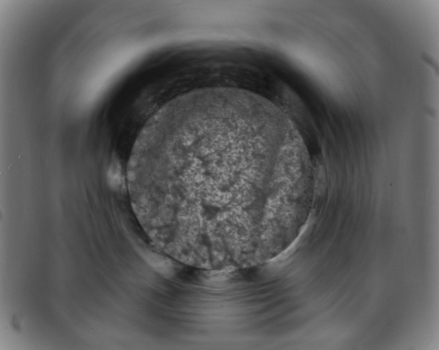 X0000097510191200803071833