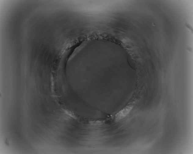 X0000097510192200803071833