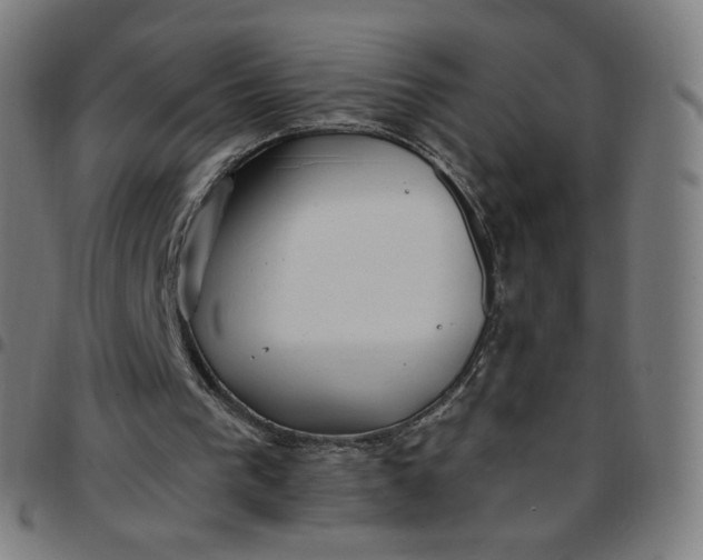 X0000097510193200803071832