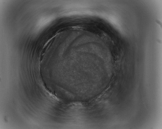 X0000097510194200803071832