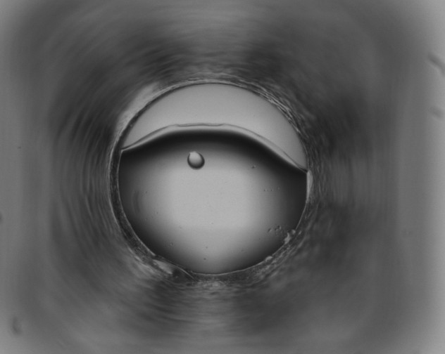 X0000097510195200803071832