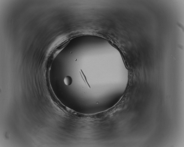 X0000097510197200803071832