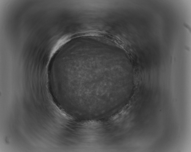 X0000097510198200803071832