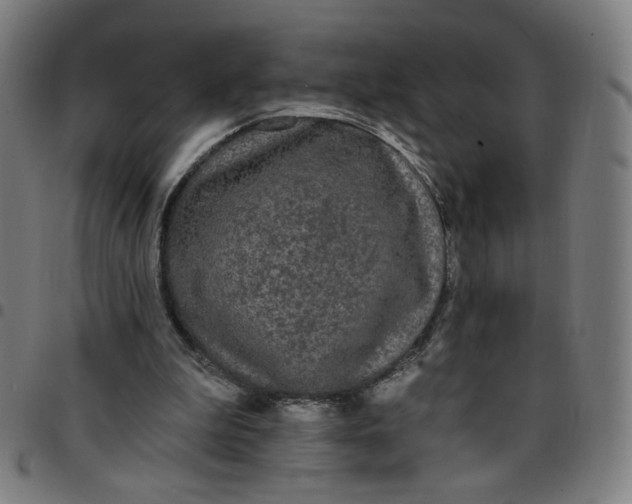 X0000097510199200803071832