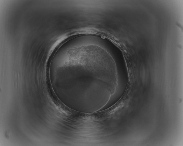 X0000097510200200803071832