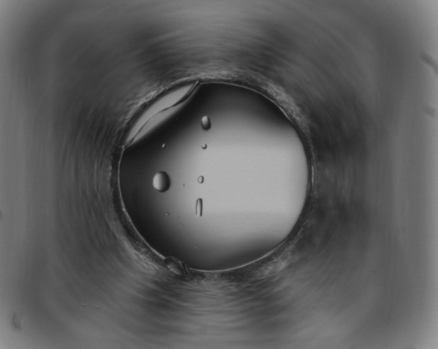 X0000097510201200803071832