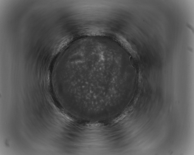 X0000097510202200803071832